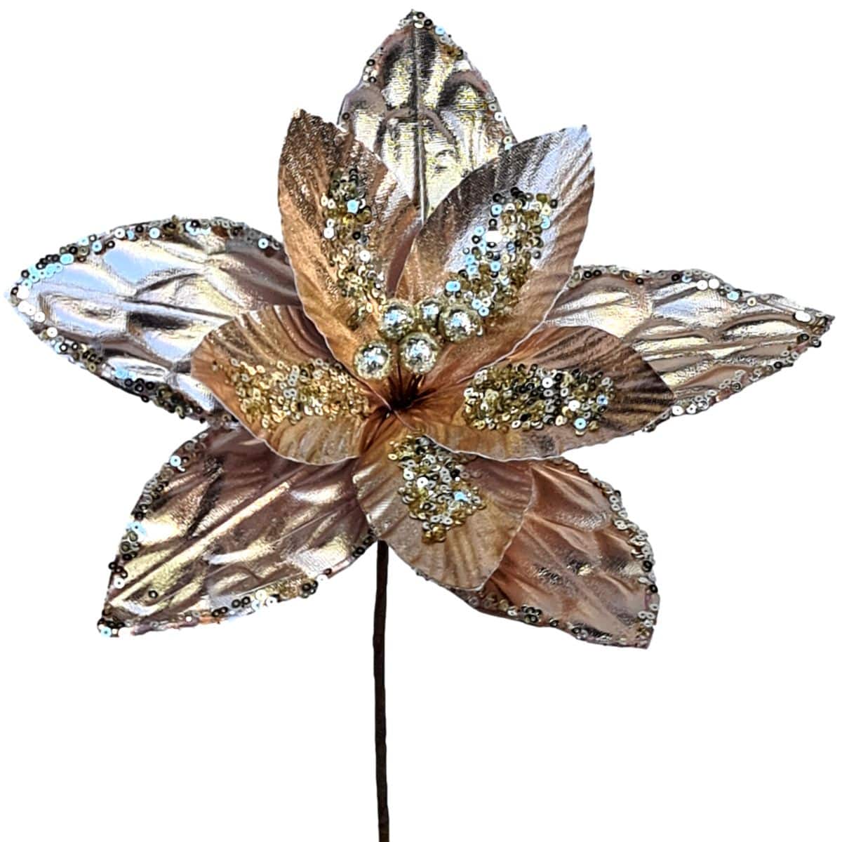 Mariah Poinsettia - Champagne