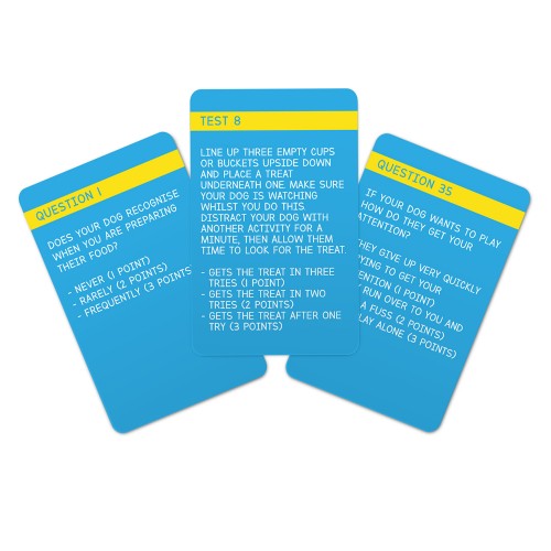Dog IQ Test – Interior Motif ADL