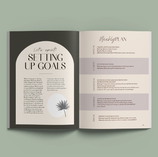 Start Up to Scale Up Business Plan Journal