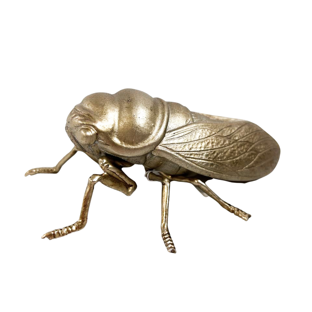 Cali Beetle Sculpture