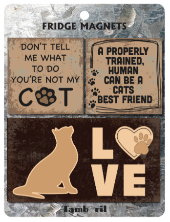 Fridge Magnet Sets - 6 Styles