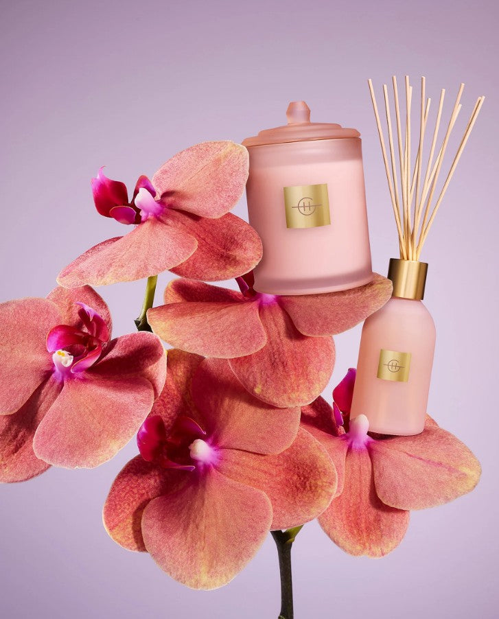 Glasshouse Mother's Day Diffuser - Radiance in Bloom