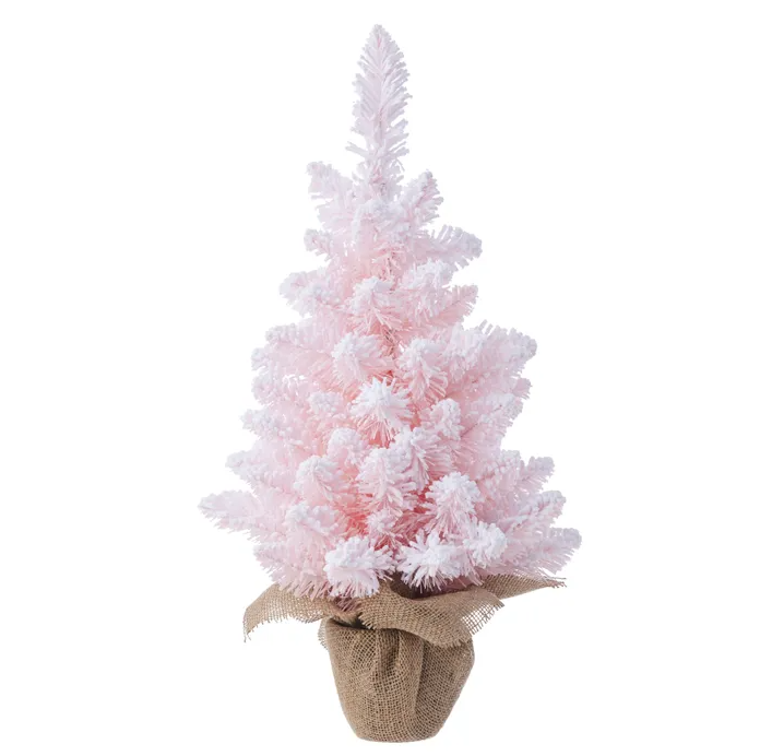 Snowy Primrose Tree