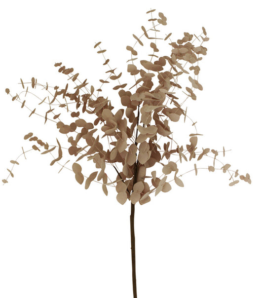 Eucalyptus Branch 70cm