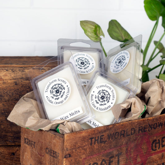 Transform Scents "Amalfi Coast" Soy Wax Melts