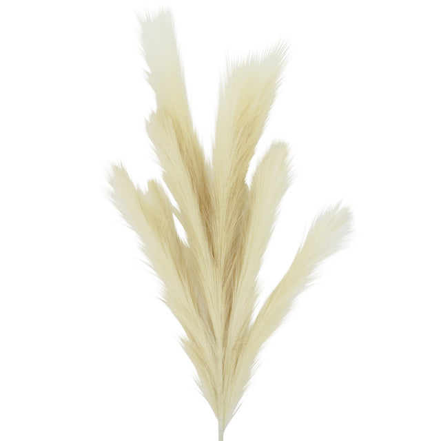 Pampas Grass