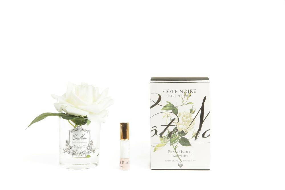 Cote Noire Single Rose "Ivory White" Clear/Silver