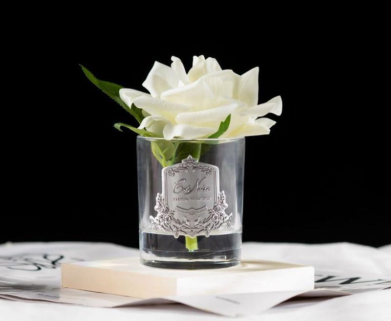 Cote Noire Single Rose "Ivory White" Clear/Silver