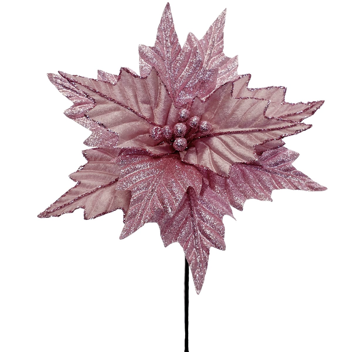 Prancer Poinsettia - Pink