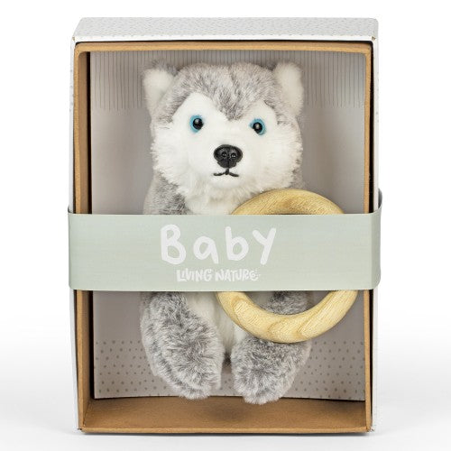 Baby Husky with Ring