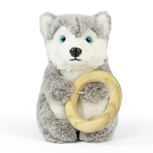 Baby Husky with Ring