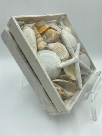 Large White Shell Box