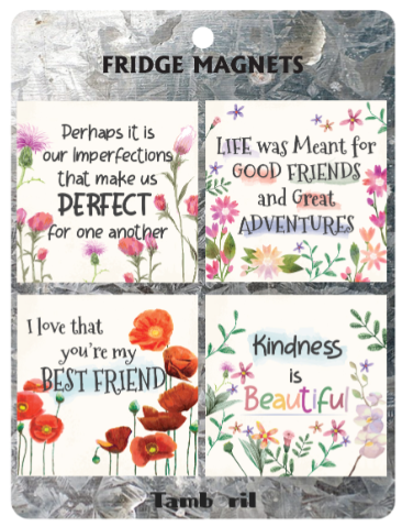 Fridge Magnet Sets - 6 Styles