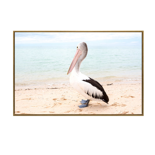 Percy Pelican Wall Art