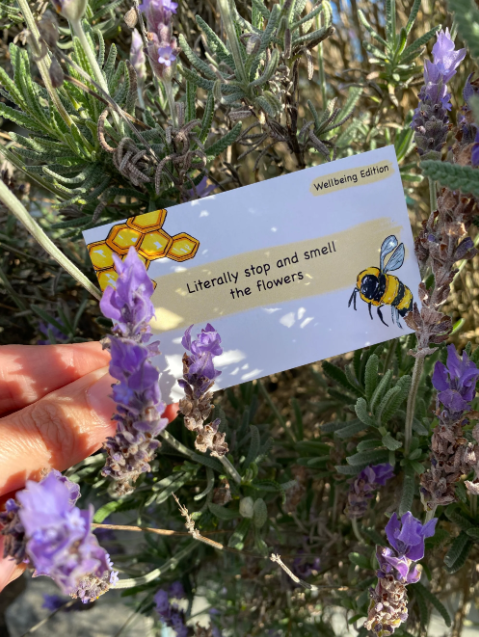 Getting Lost Game - Wellbeing Edition