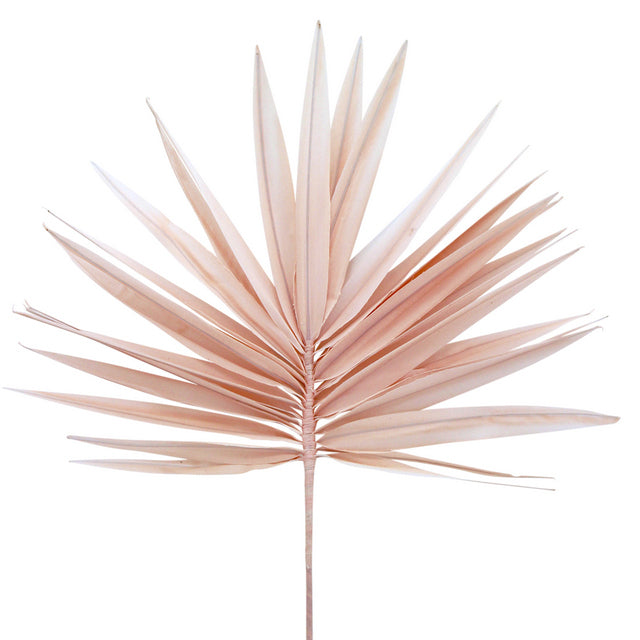 NF Palm Fan Pink 54x100cm