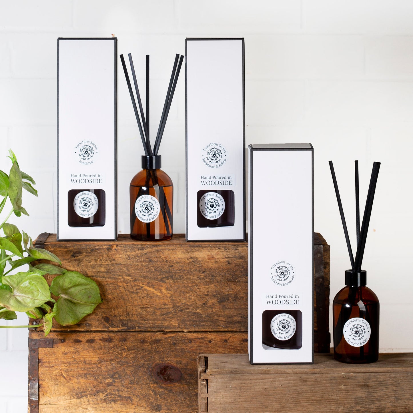Transform Scents "Basil, Lime & Mandarin" Diffuser 250mL