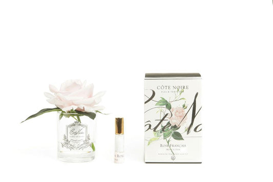 Cote Noire Single Rose "French Pink" Clear/Silver