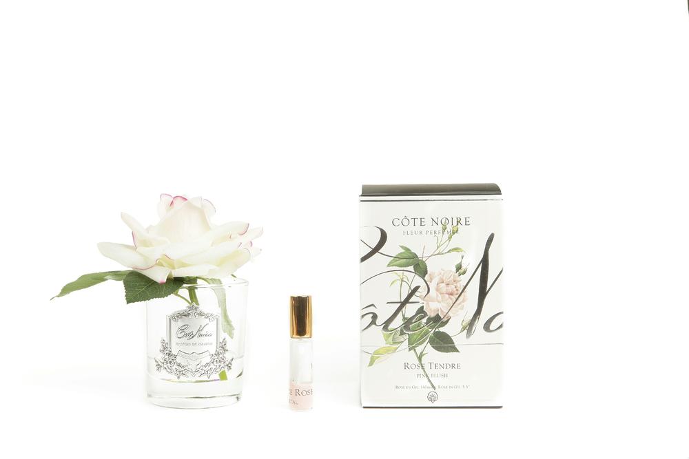 Cote Noire Single Rose "Pink Blush" Clear/Silver