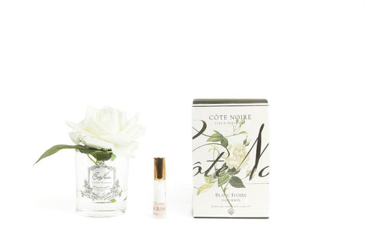 Cote Noire Single Rose "Ivory White" Clear/Silver